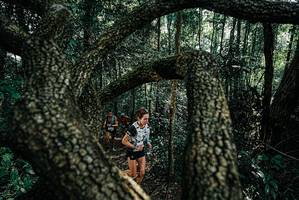 BIB: 
                            <button type="button" onclick="openModal(25663500)" class="btn btn-primary btn-sm float-right btn-popup" data-toggle="modal" data-target=".modal-high-quality">
                        <i class="fas fa-shopping-cart"></i> Add to Cart
                    </button>
                                            <button type="button" onclick="isThisMe(25663500, true)" class="btn btn-success btn-sm float-right btn-popup btn-isme hidden" data-toggle="tooltip" data-placement="bottom" title="นี่คือรูปของคุณใช่ไหม คลิกที่นี่เพื่อเอาเข้าอัลบั้ม">
                        <i class="fas fa-plus"></i> Add to album
                    </button>
                    <button type="button" onclick="isThisMe(25663500, false)" class="btn btn-warning btn-sm float-right btn-popup btn-isnotme hidden">
                        <i class="fas fa-ban"></i> Remove from album
                    </button>